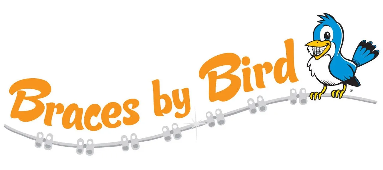 Braces by Bird 