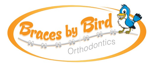 Link to Braces by Bird  home page